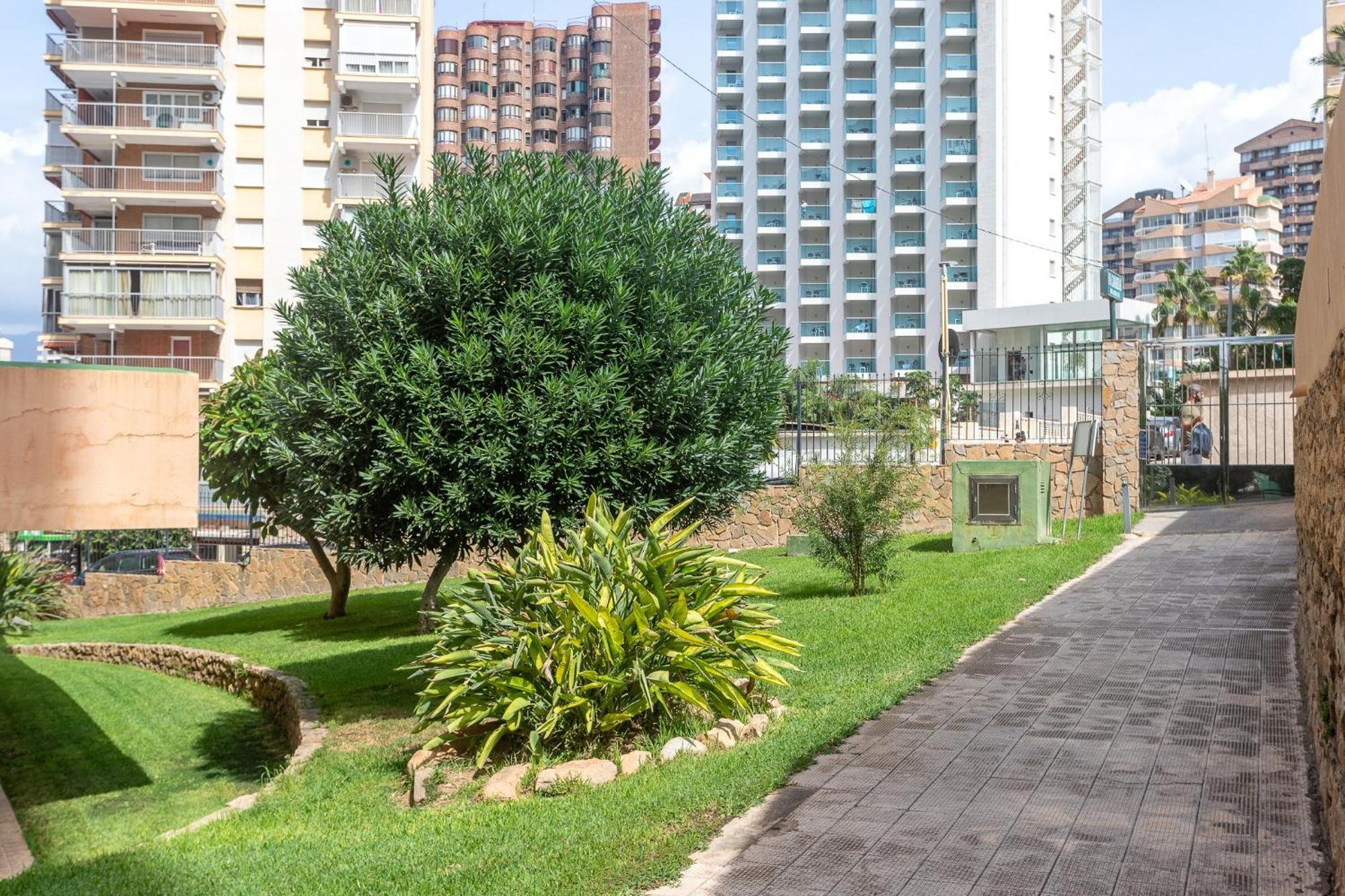 בנידורם Apartamento Frente Al Mar מראה חיצוני תמונה